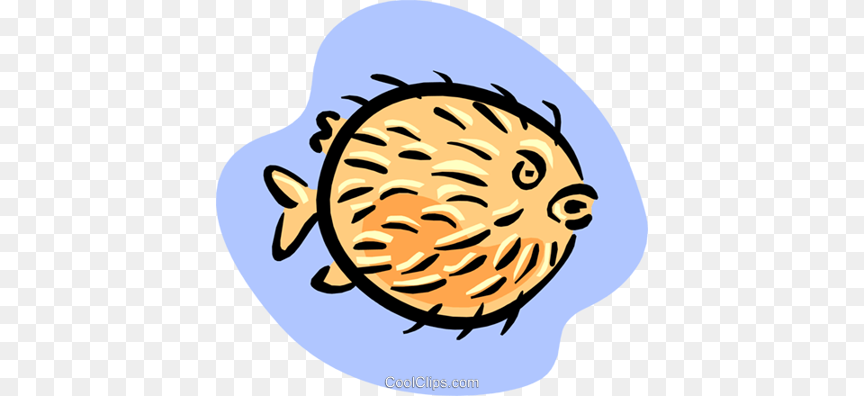 Puffer Fish Royalty Vector Clip Art Illustration, Head, Face, Person, Baby Free Png Download