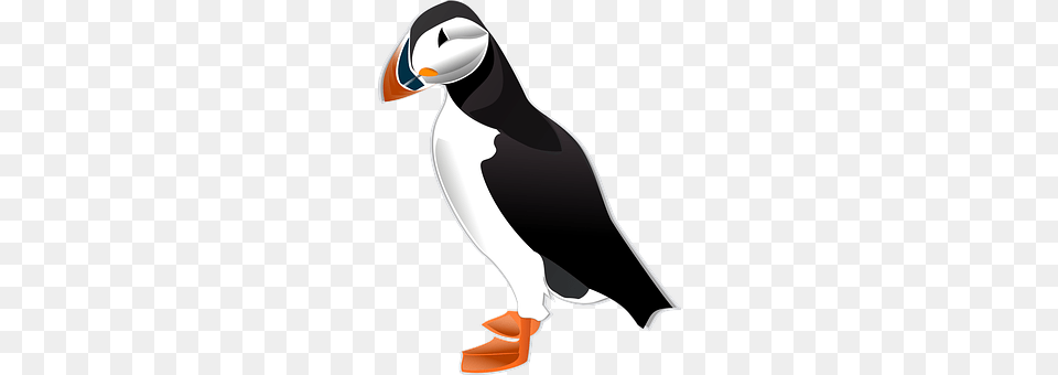 Puffin Animal, Bird, Appliance, Blow Dryer Png Image