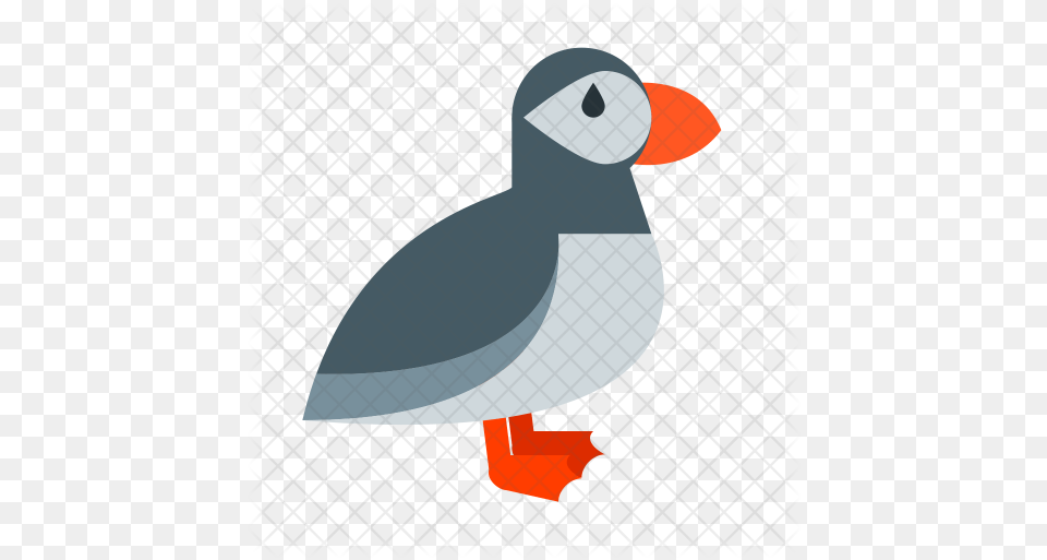 Puffin Bird Icon Of Flat Style Puffin Icon, Animal Free Png Download