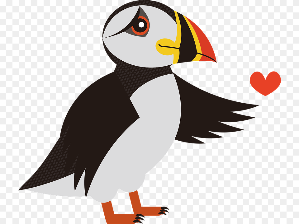 Puffin Bird Sea Birds Animal Iceland Waterfowl Lunde Fugl, Person, Face, Head Png