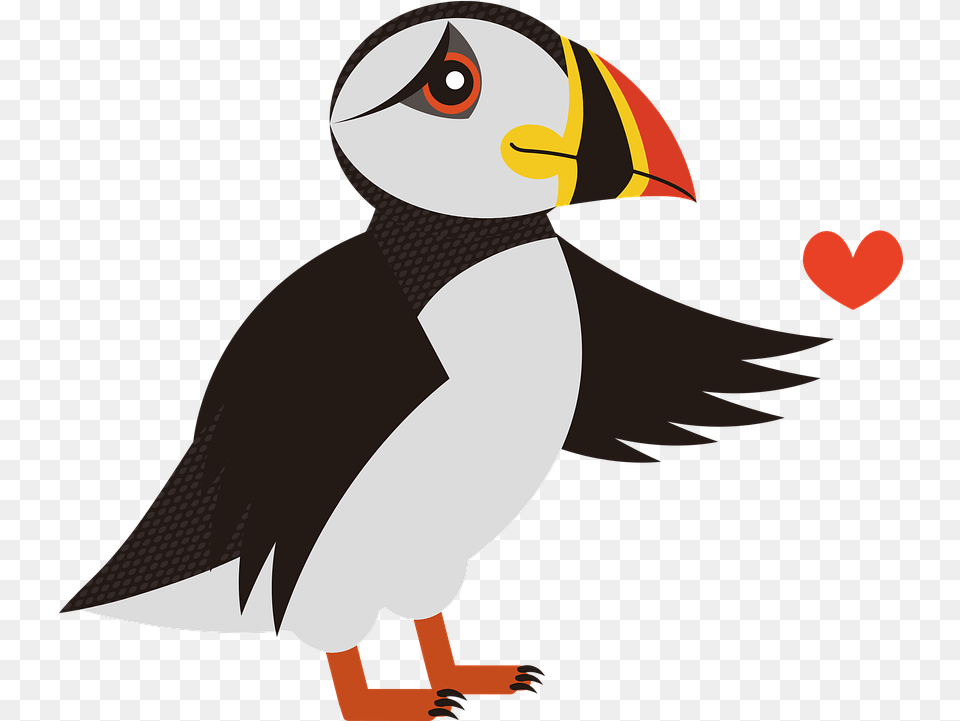 Puffin Bird Sea Puffin, Animal, Person, Face, Head Png