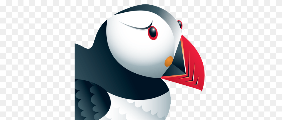 Puffin Clipart Animated, Animal, Bird Free Png
