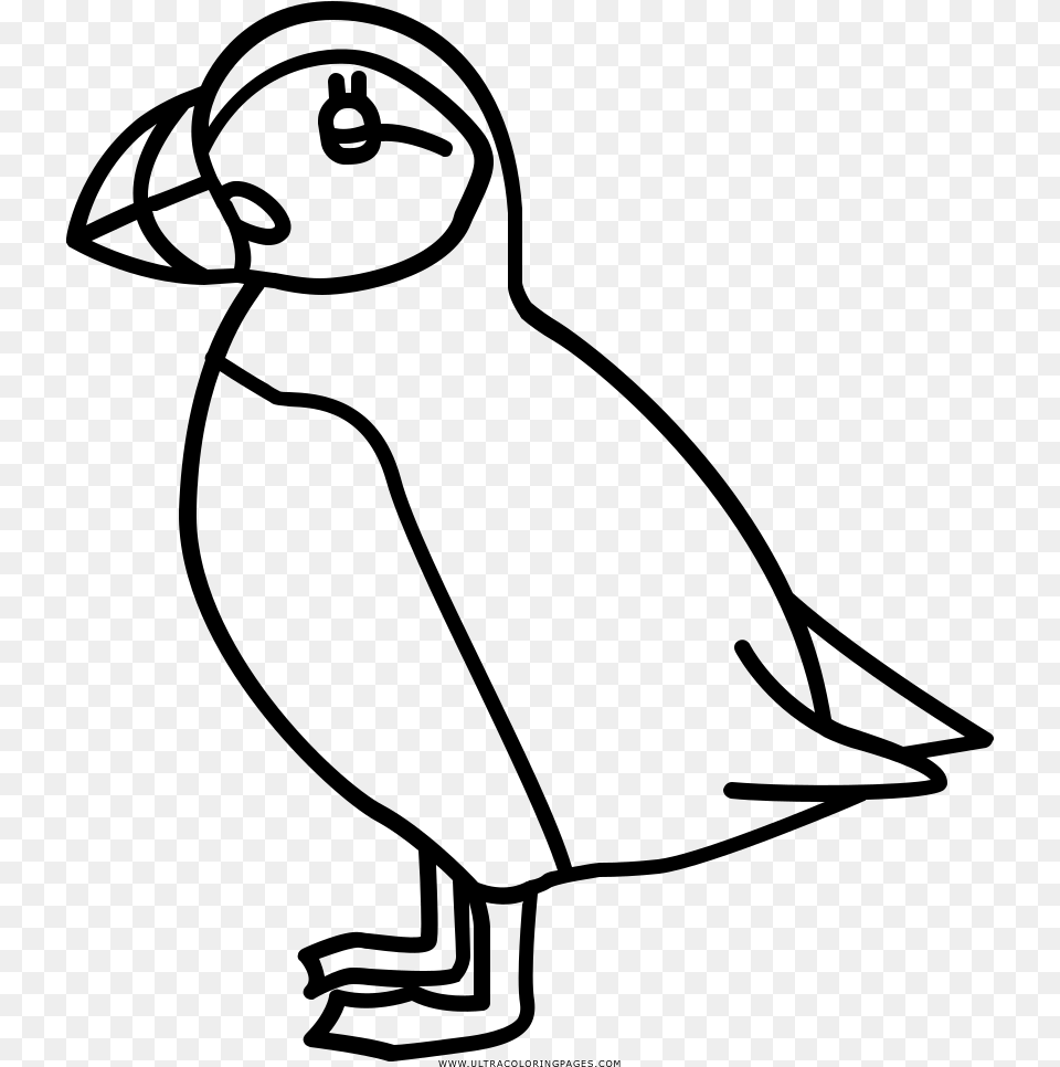 Puffin Coloring, Gray Free Transparent Png