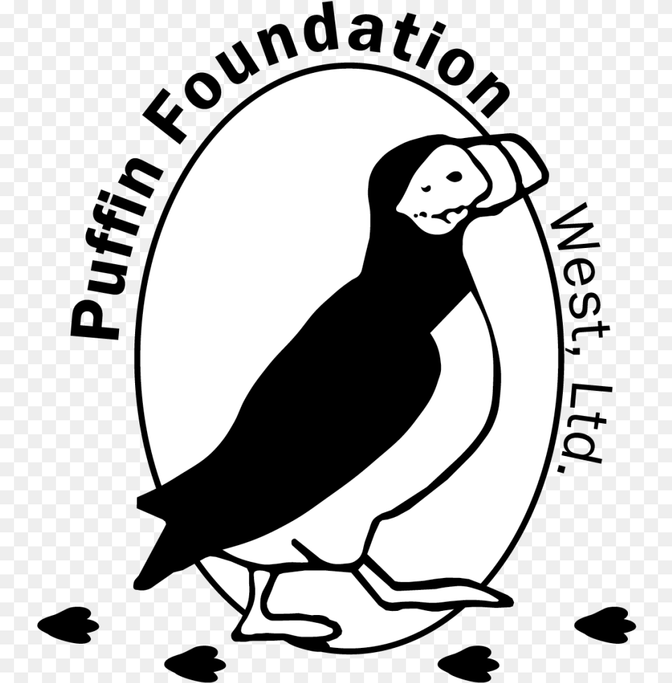 Puffin Logo Print Res 300dpi 6 Speed Manual Sticker, Animal, Mammal, Rat, Rodent Png Image