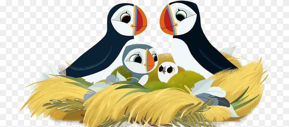 Puffin Rock Concept Art, Animal, Bird Free Transparent Png