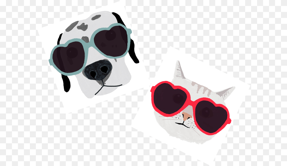 Pug, Accessories, Sunglasses, Animal, Bear Png Image