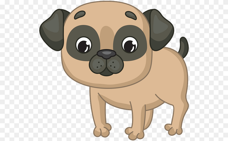 Pug, Animal, Bear, Mammal, Wildlife Free Transparent Png