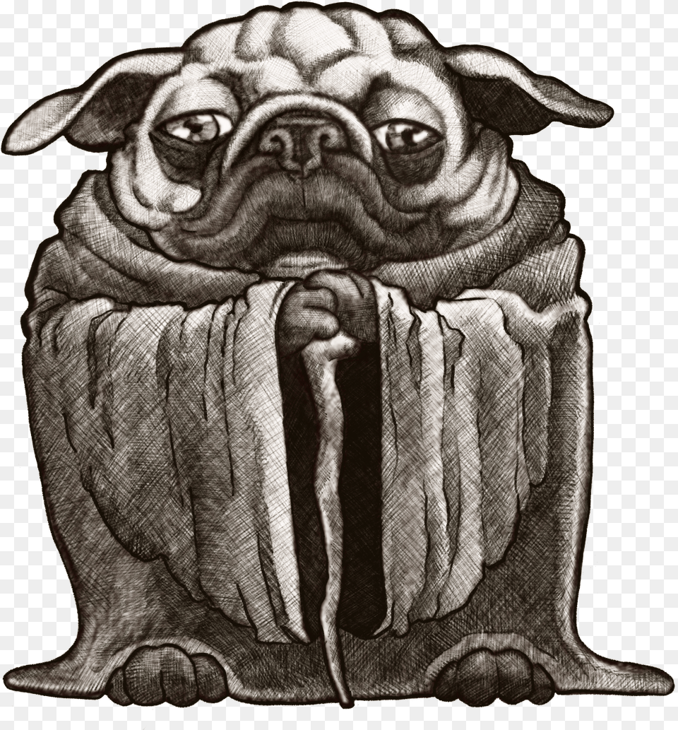 Pug Free Png Download