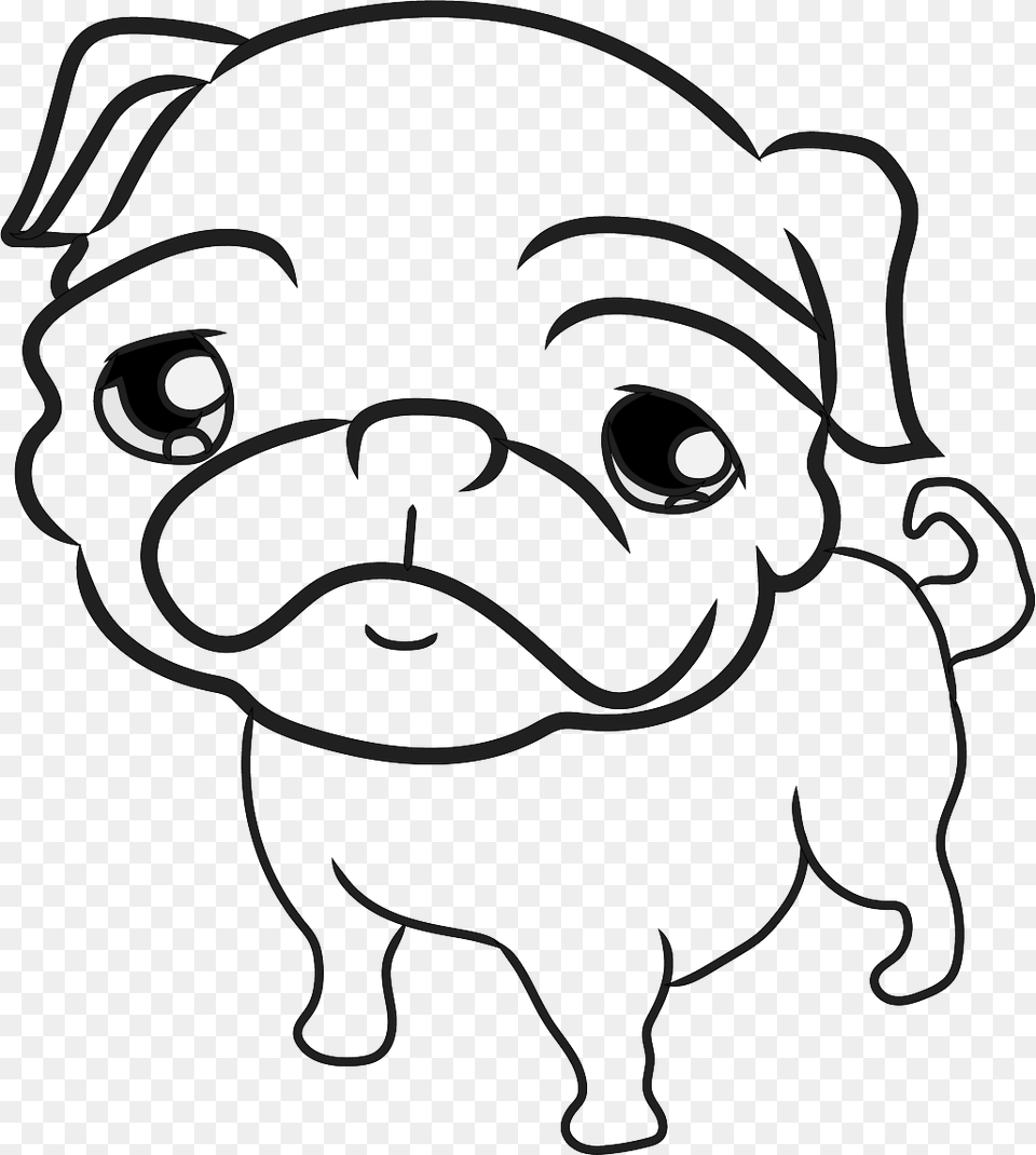 Pug, Baby, Person, Animal, Canine Png Image