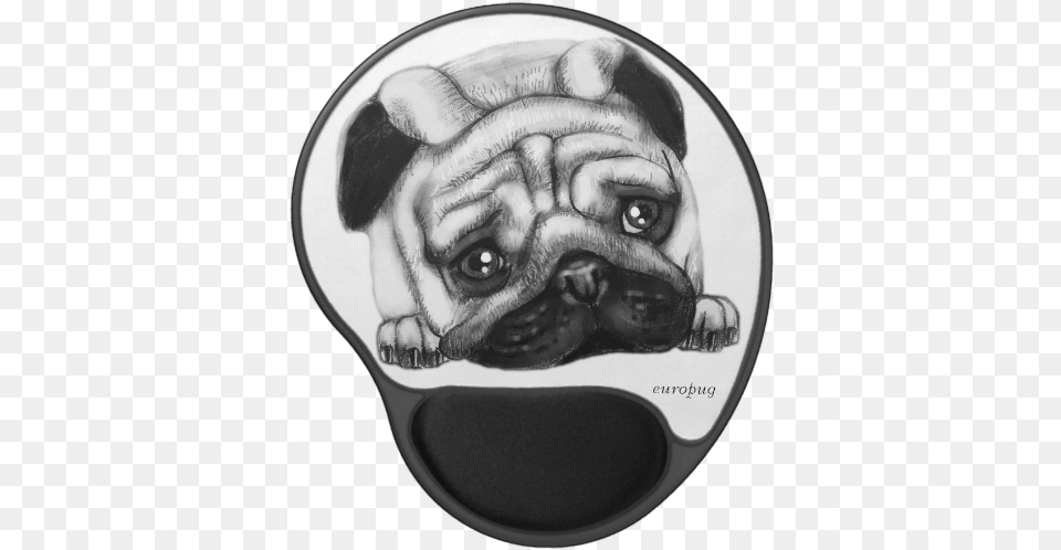 Pug, Art, Drawing, Adult, Male Png