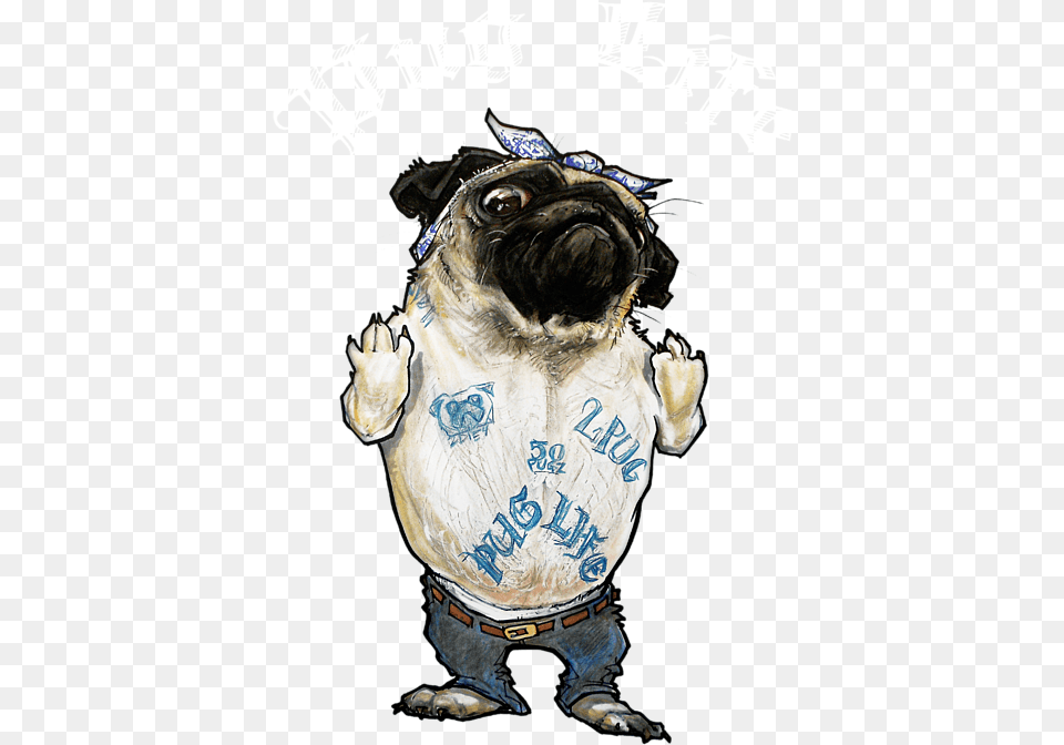 Pug, Animal, Canine, Dog, Mammal Free Transparent Png