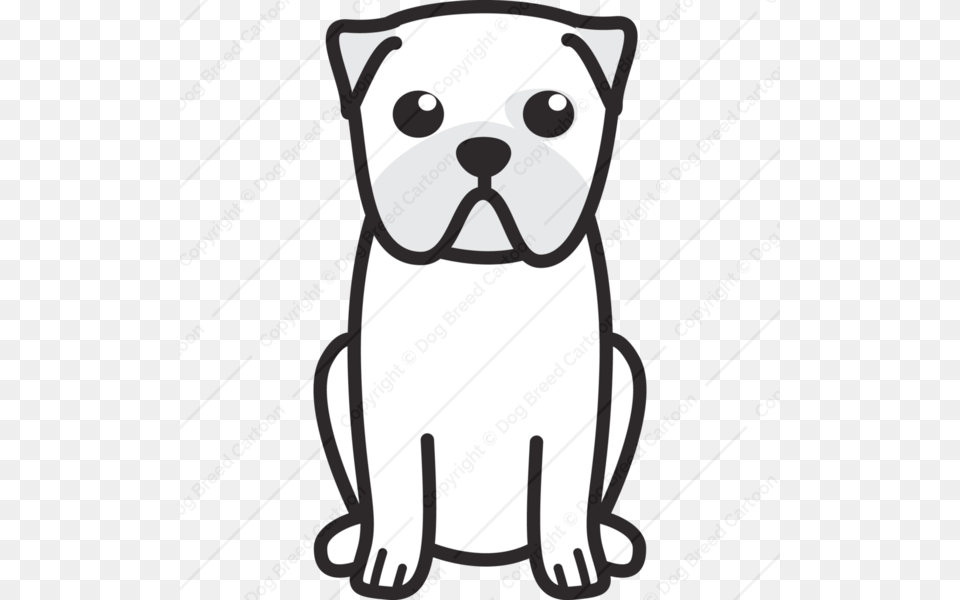 Pug, Animal, Mammal Png