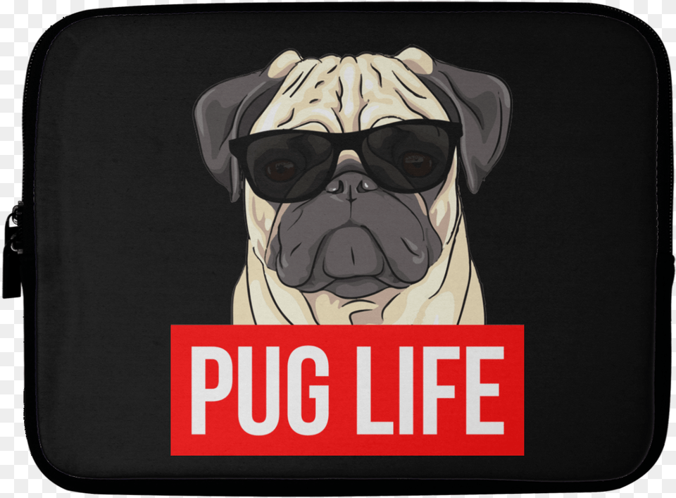 Pug, Accessories, Sunglasses, Baby, Person Png Image