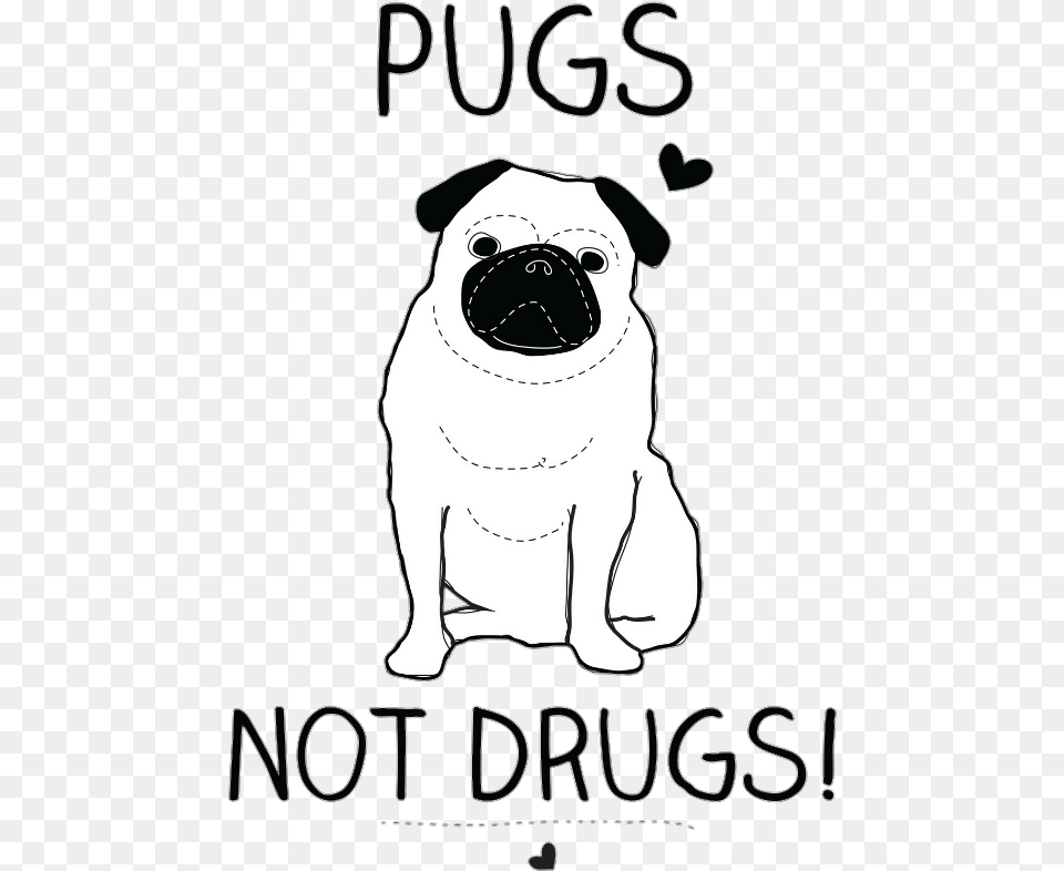 Pug, Mammal, Animal, Canine, Pet Png Image