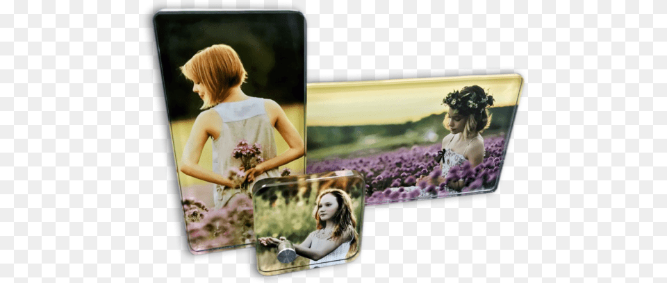 Pug, Art, Collage, Purple, Flower Png Image