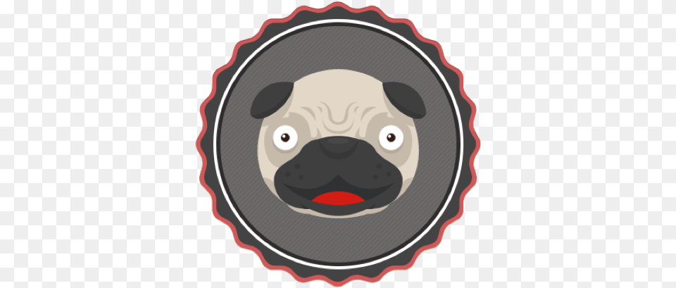 Pug Aday Pug, Head, Person, Disk, Face Png Image