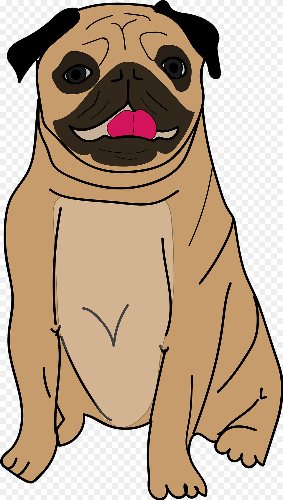 Pug Clipart, Animal, Canine, Mammal, Person Png