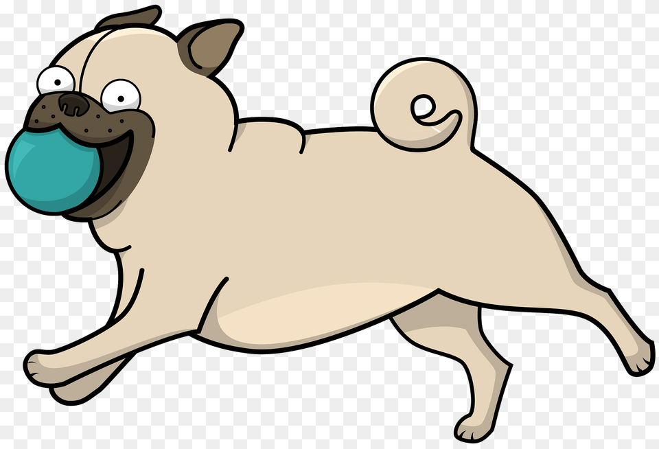 Pug Clipart, Animal, Canine, Dog, Mammal Png