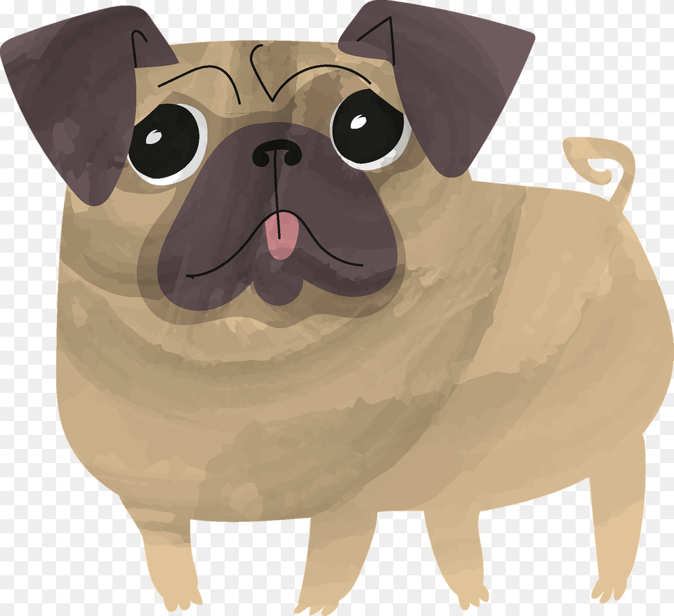 Pug Clipart, Animal, Canine, Mammal, Pet Free Png