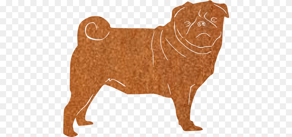 Pug Companion Dog, Animal, Canine, Mammal, Pet Free Png