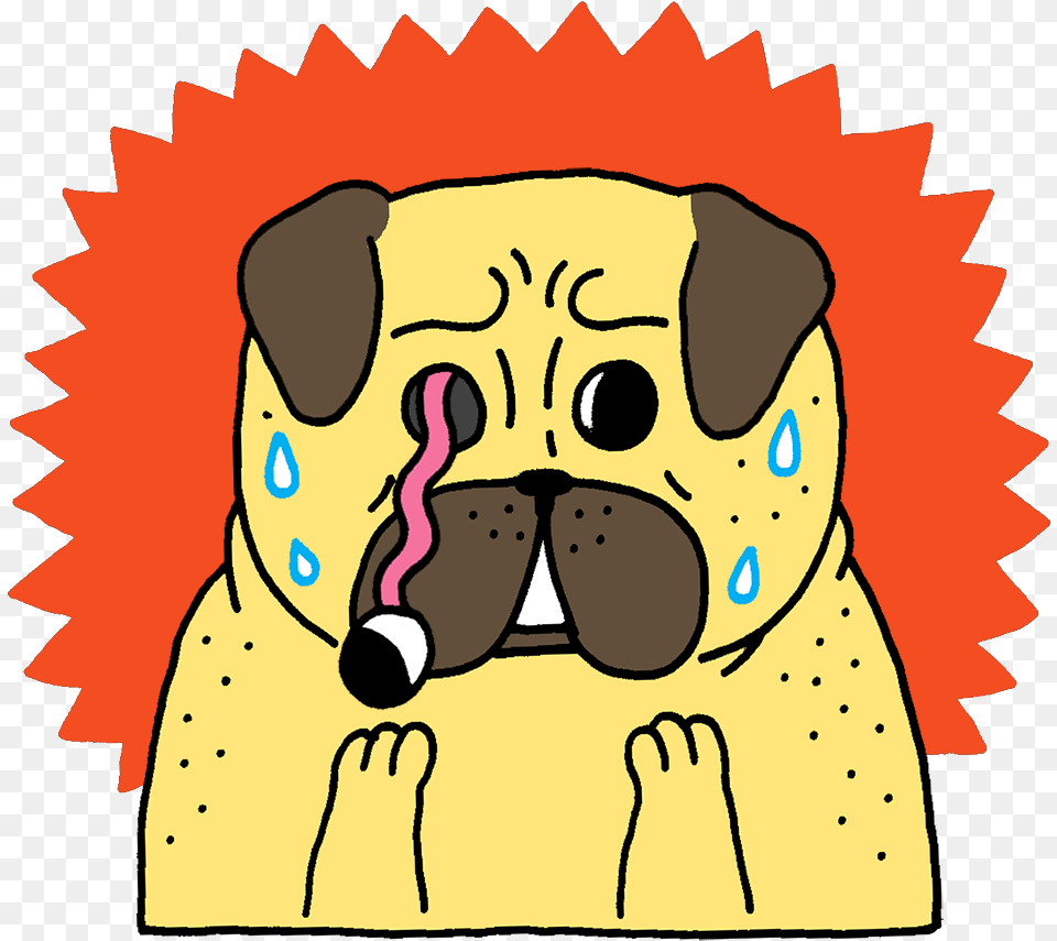 Pug Dance Gif Pugs Eyes Falling Out, Plush, Toy, Baby, Person Free Png Download