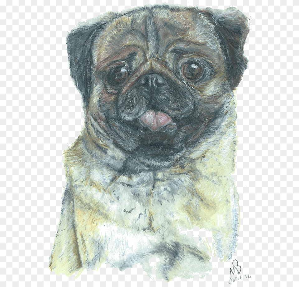 Pug Dog Pencil Dogs Pug Artworks, Animal, Canine, Mammal, Pet Free Png Download