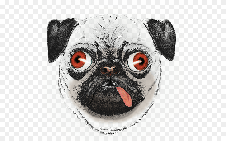 Pug Face On Behance Drawing, Animal, Canine, Dog, Mammal Free Png