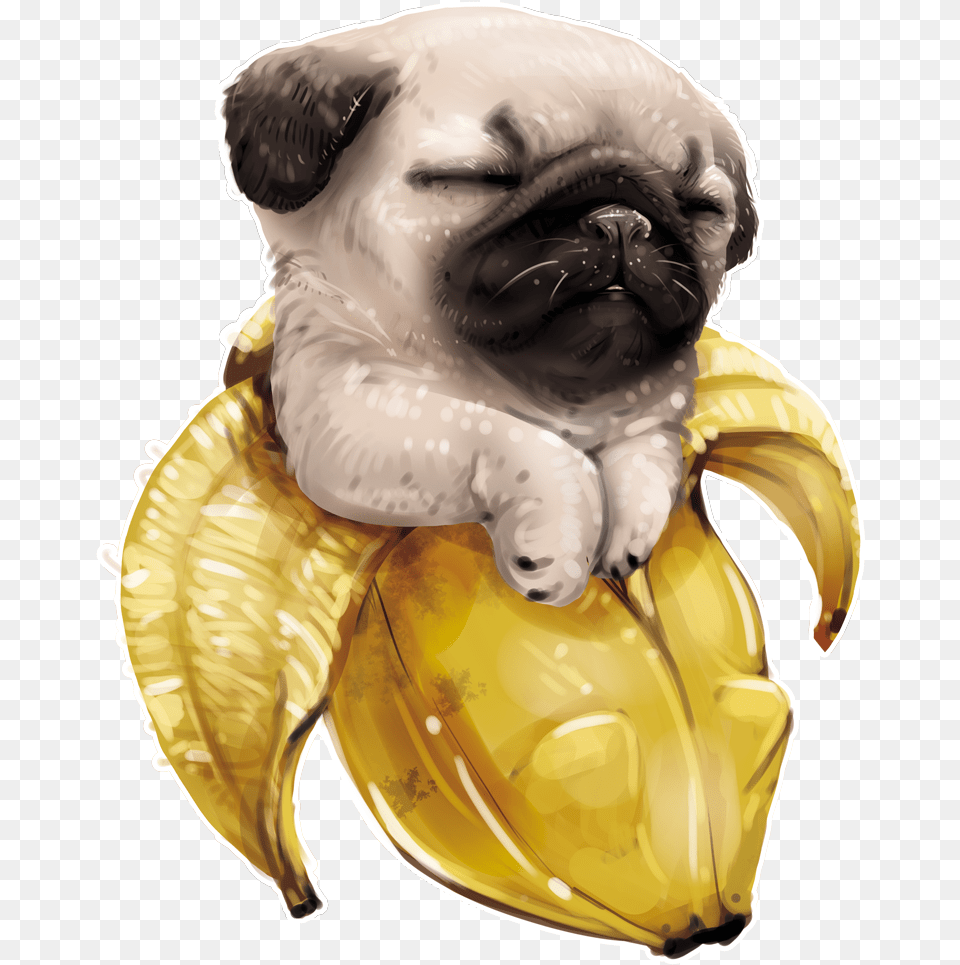 Pug Gifts Pug Art Print Of Original Watercolor Painting Pugs Art, Fruit, Banana, Produce, Plant Png