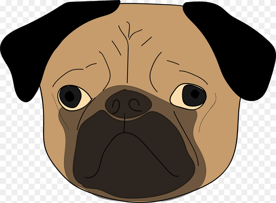 Pug Head Clipart, Animal, Canine, Mammal, Pet Free Transparent Png