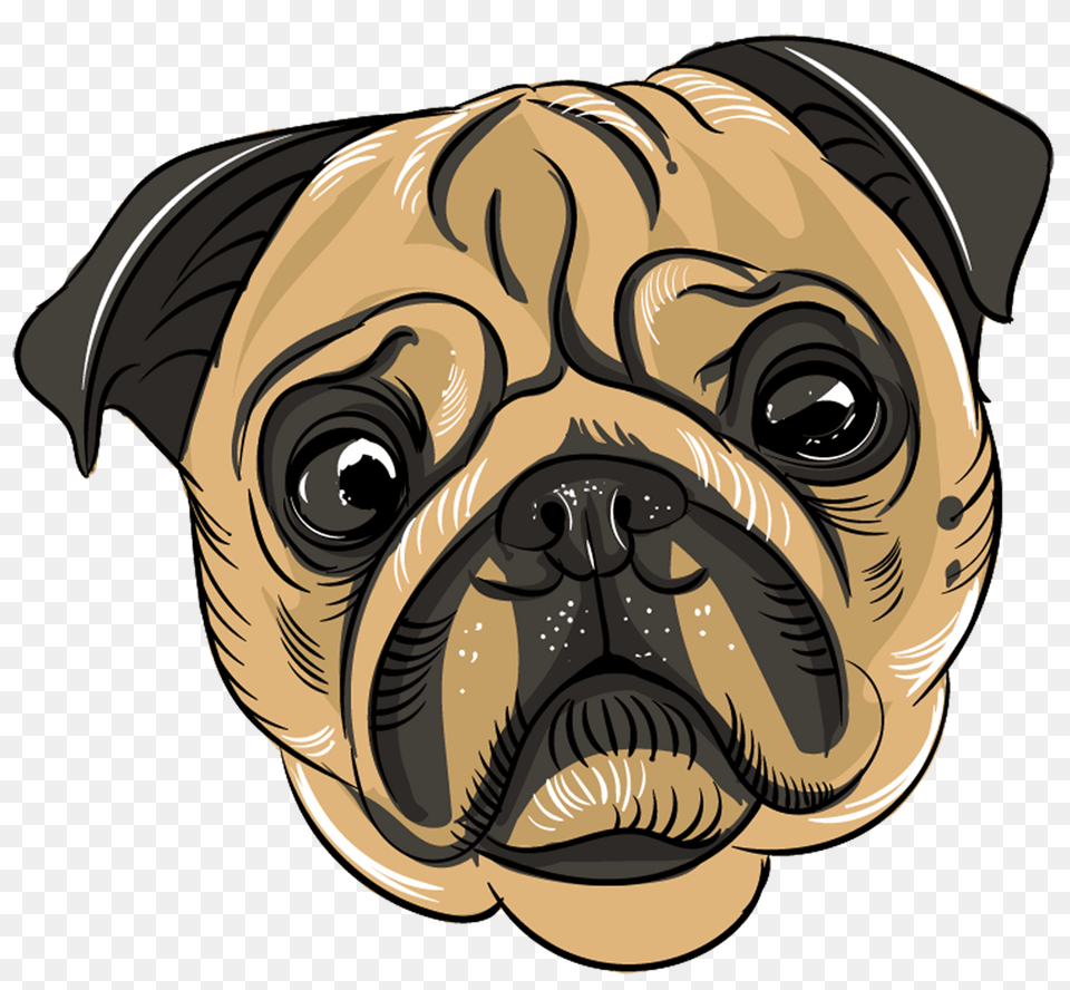 Pug Head Clipart, Animal, Canine, Mammal, Dog Free Png Download