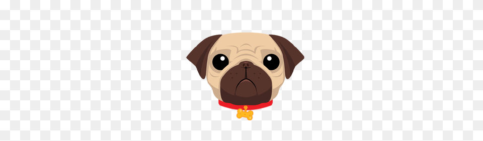 Pug Js Tutorial Chapter Html Images In Pug Nodejsera, Animal, Canine, Dog, Mammal Free Transparent Png