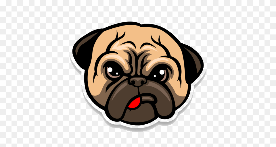 Pug Life Picture, Animal, Canine, Dog, Mammal Free Transparent Png