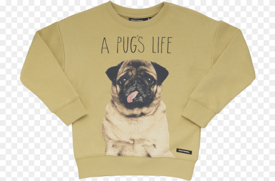 Pug Life Sweatshirt Pug, Clothing, Sweater, Knitwear, Mammal Png Image
