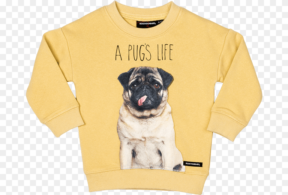 Pug Life Sweatshirtclass Pug, Sweatshirt, Clothing, Sweater, Knitwear Free Transparent Png