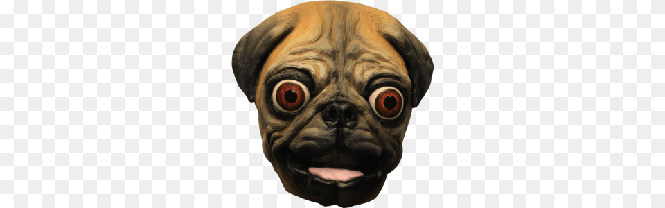 Pug Mask, Animal, Canine, Dog, Mammal Png Image