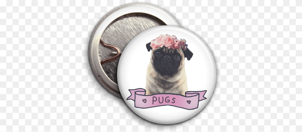 Pug Pink Label Twice Is Nice Ahs, Animal, Canine, Dog, Mammal Free Png Download
