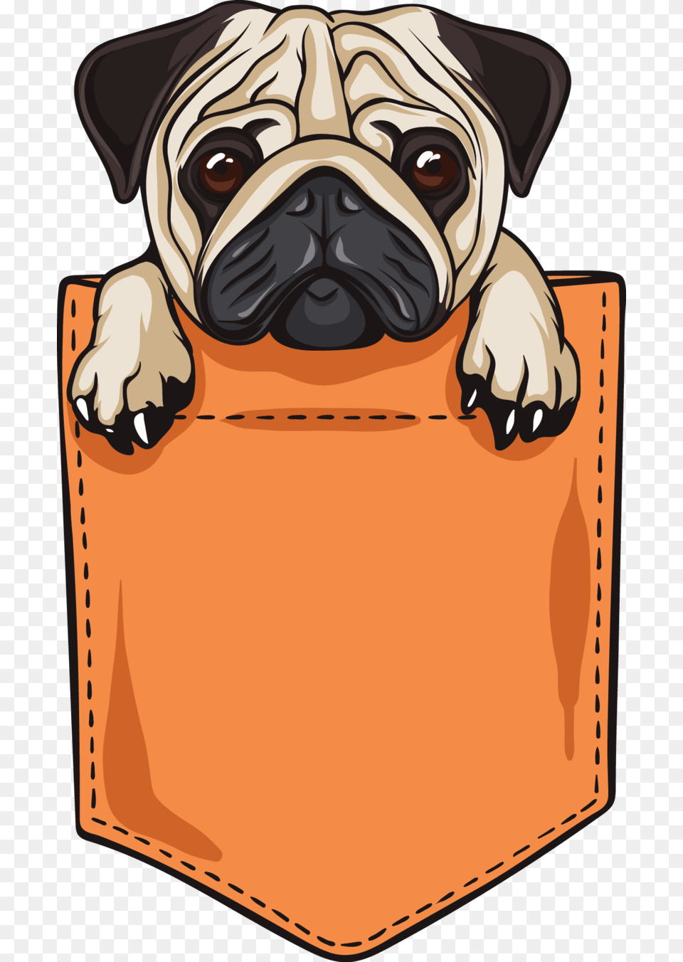 Pug Pocket Vector, Animal, Canine, Dog, Mammal Png Image