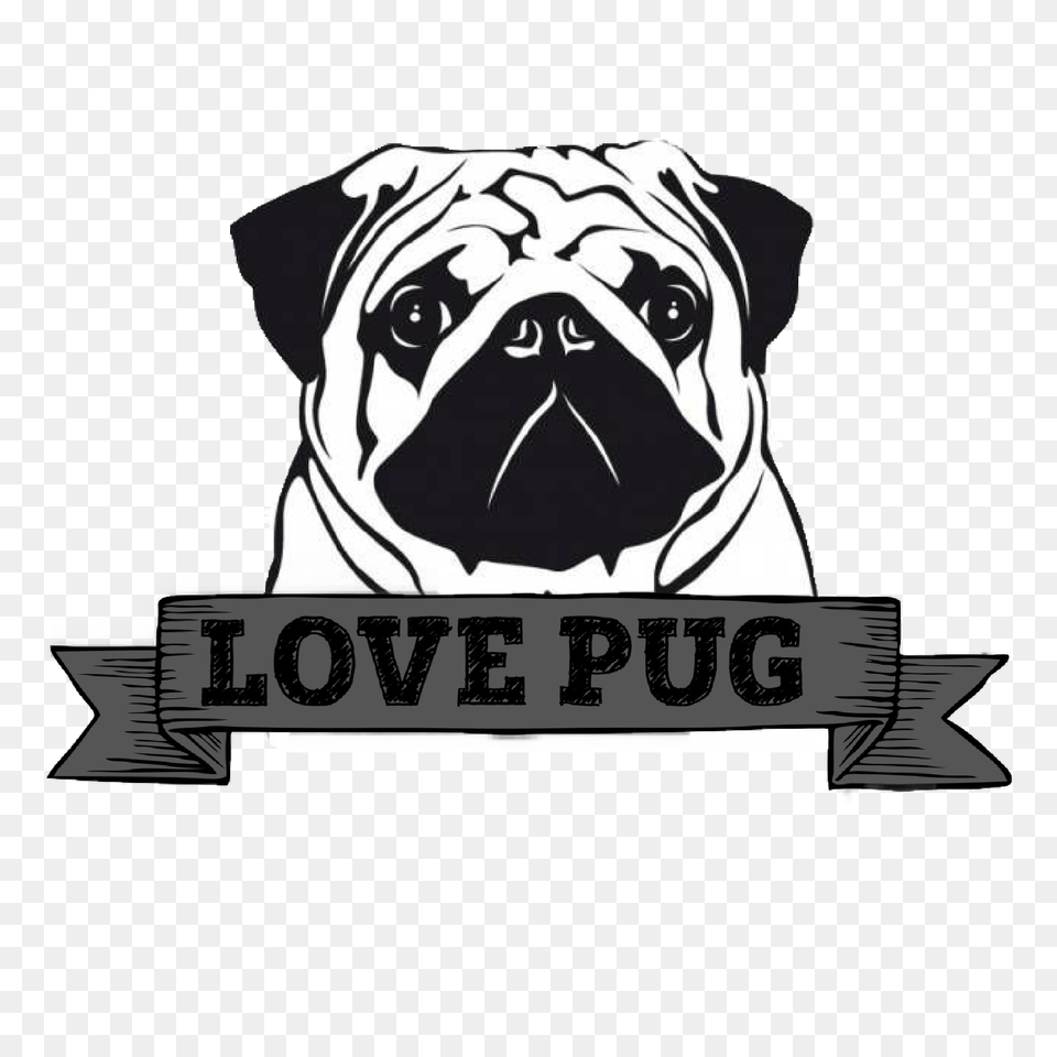 Pug Pug Art Pugs Pug Art Pug Love, Animal, Canine, Mammal, Pet Free Png Download