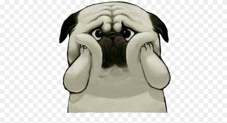 Pug Pugs Dog Perro Triste Pets Amp Animals Puppy Sad Dog, Baby, Person, Animal, Canine Free Png