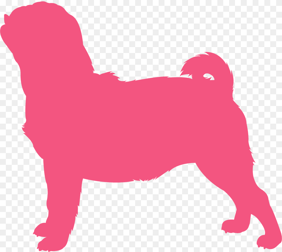 Pug Silhouette, Animal, Canine, Mammal, Pet Free Png Download