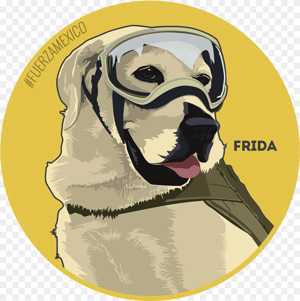 Pug Vector Christmas Pug Pug Vippng Pug, Person, Face, Head Free Png