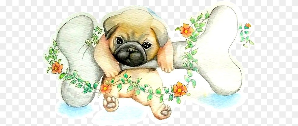 Pug Watercolor Cute Image On Pixabay Pug Watercolor, Animal, Canine, Mammal, Dog Free Transparent Png