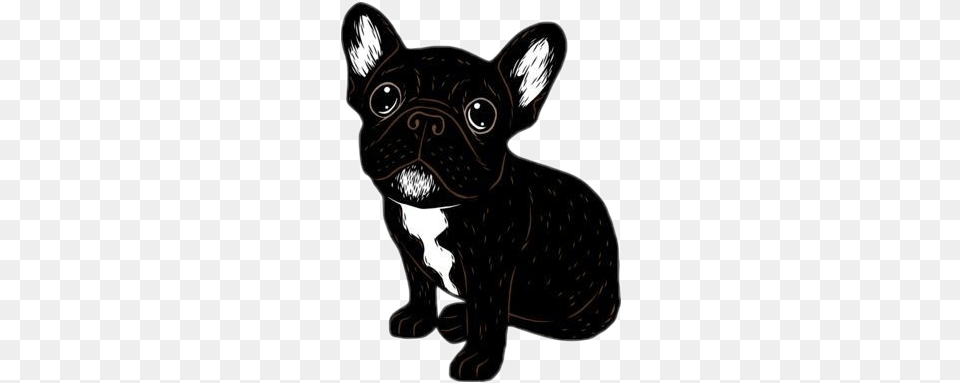 Pugblack Pug Black Cachorro Stickerspopulares Frenchie Stickers, Animal, Bulldog, Canine, Dog Free Transparent Png