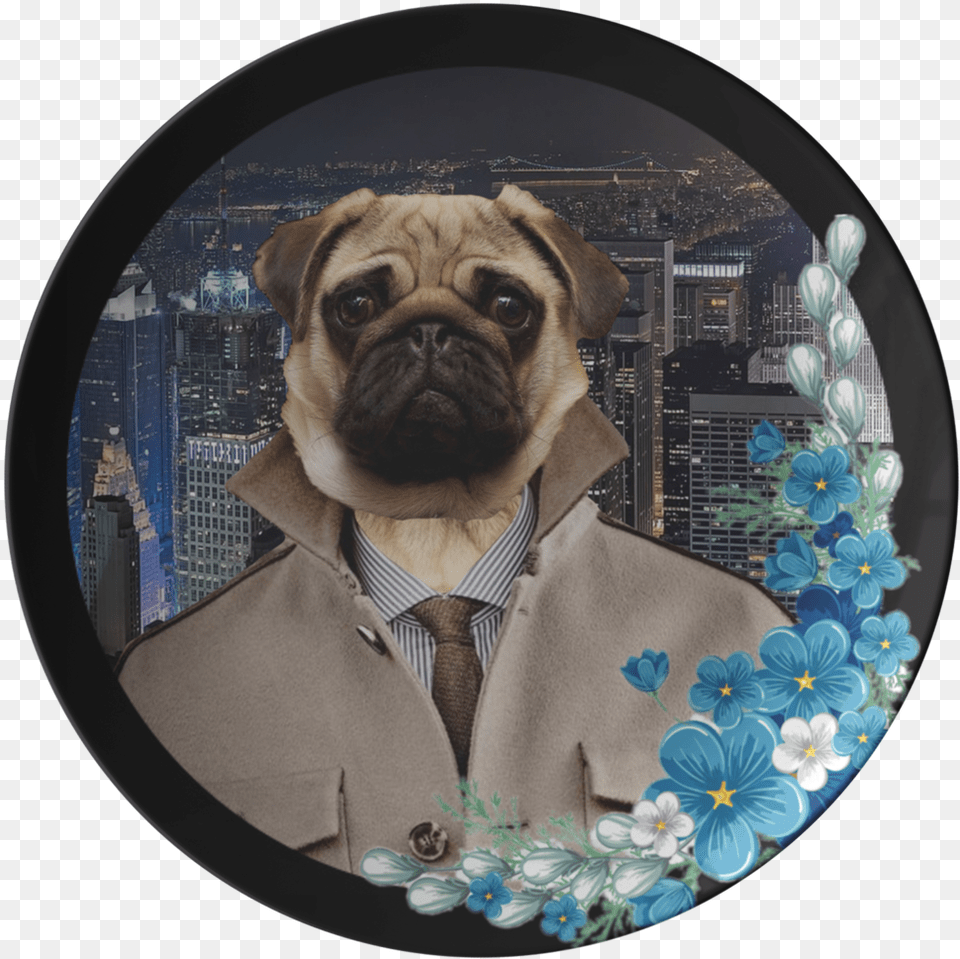 Pugsley City Pug Plate Pug, Photography, Mammal, Dog, Canine Free Transparent Png