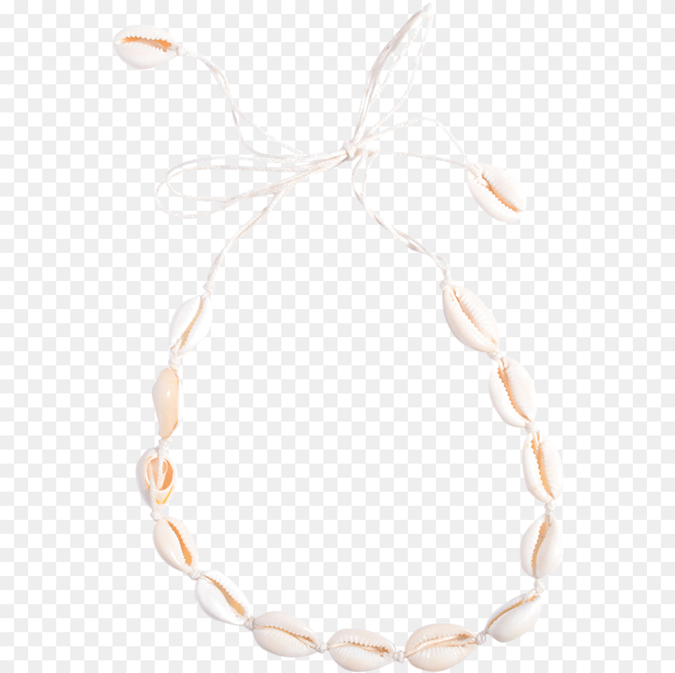 Puka Shell Necklace, Accessories, Bracelet, Jewelry Free Transparent Png