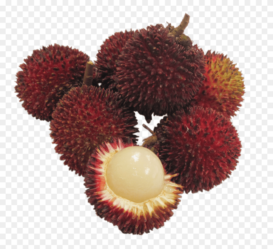Pulasan Fruit, Durian, Food, Plant, Produce Png Image