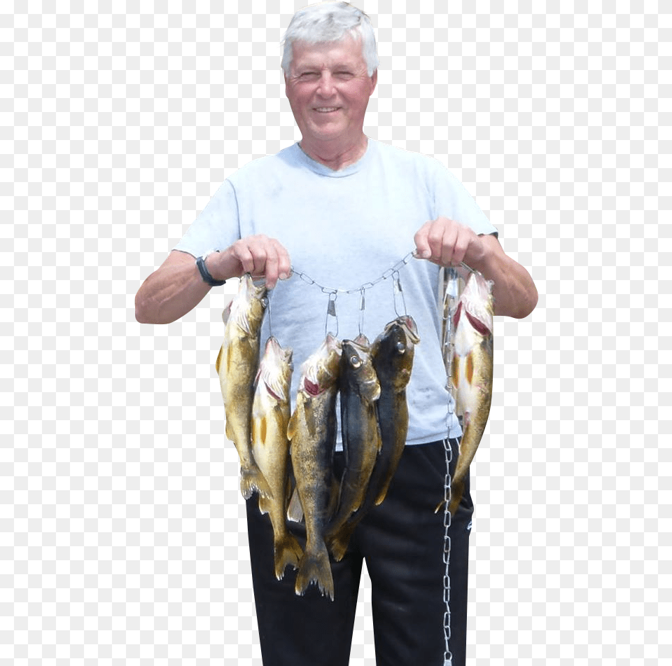 Pull Fish Out Of Water, Adult, Person, Man, Male Free Transparent Png