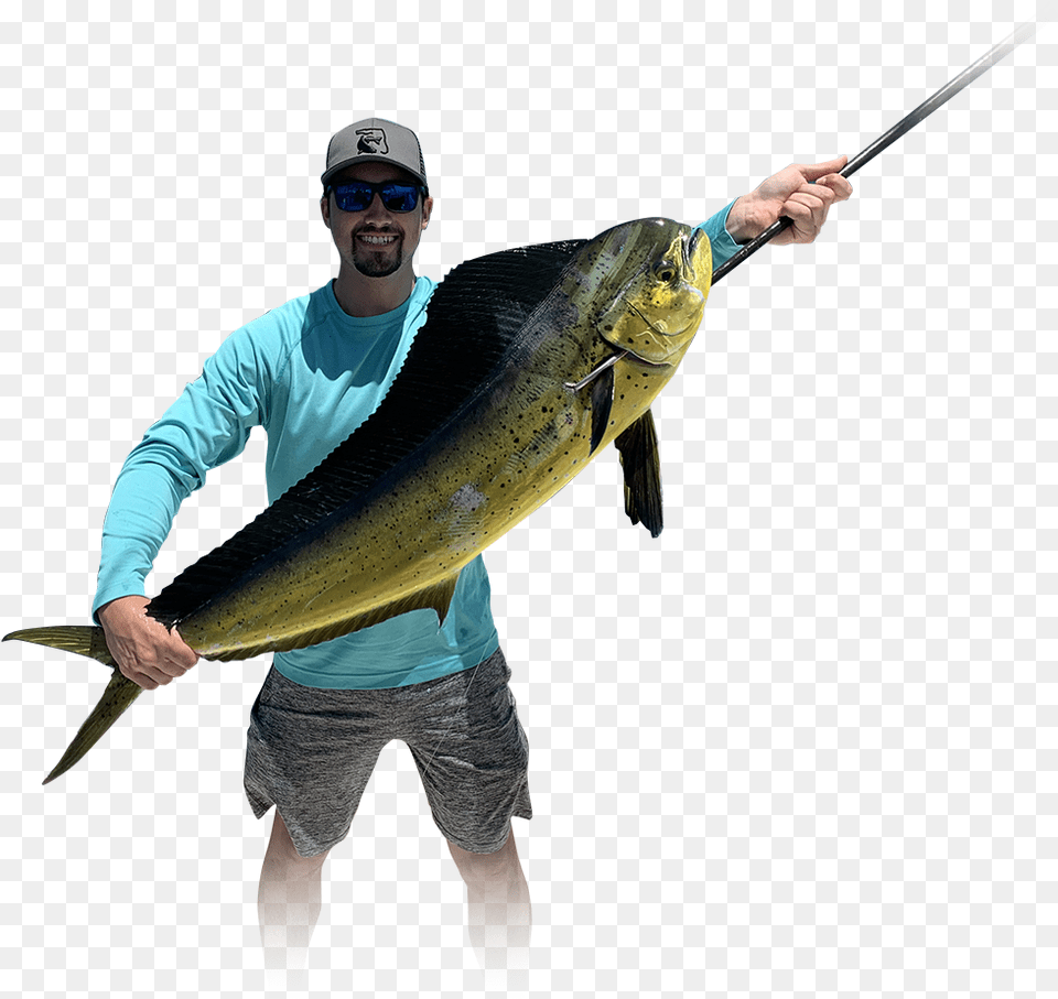 Pull Fish Out Of Water, Outdoors, Fishing, Leisure Activities, Adult Free Png