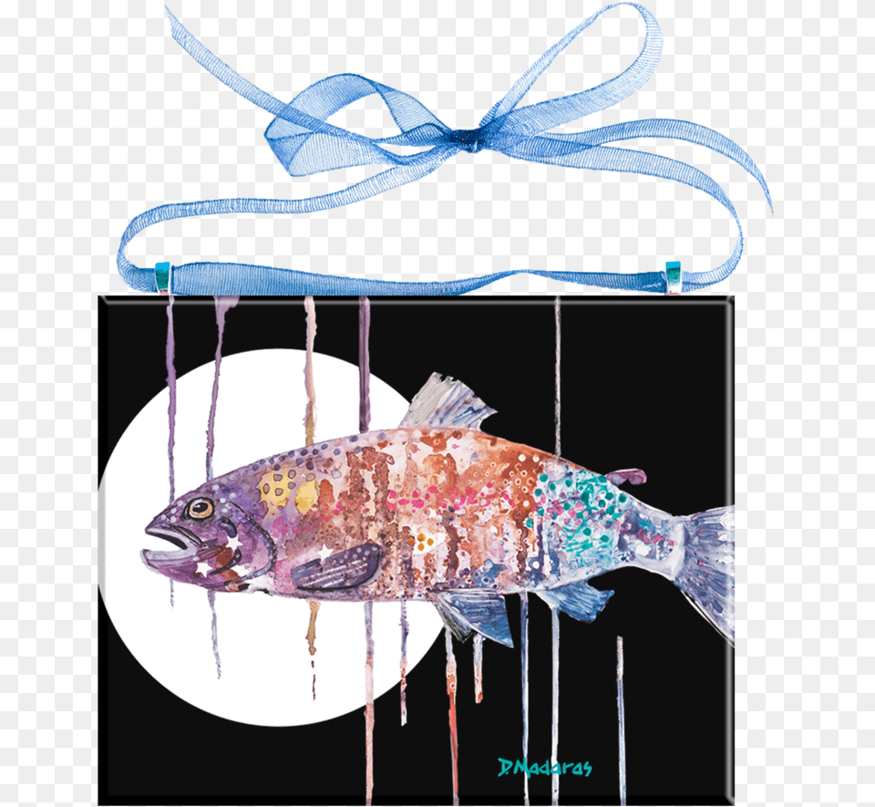 Pull Fish Out Of Water, Animal, Sea Life, Accessories Png Image