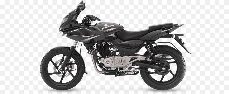 Pulsar 220f 2019 Black Triumph Speed Twin, Machine, Spoke, Wheel, Vehicle Png Image